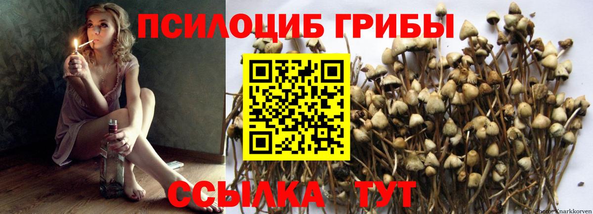 Сердобск  Галлюциногенные грибы ЛСД  где можно купить наркотик  Вход с VPN 